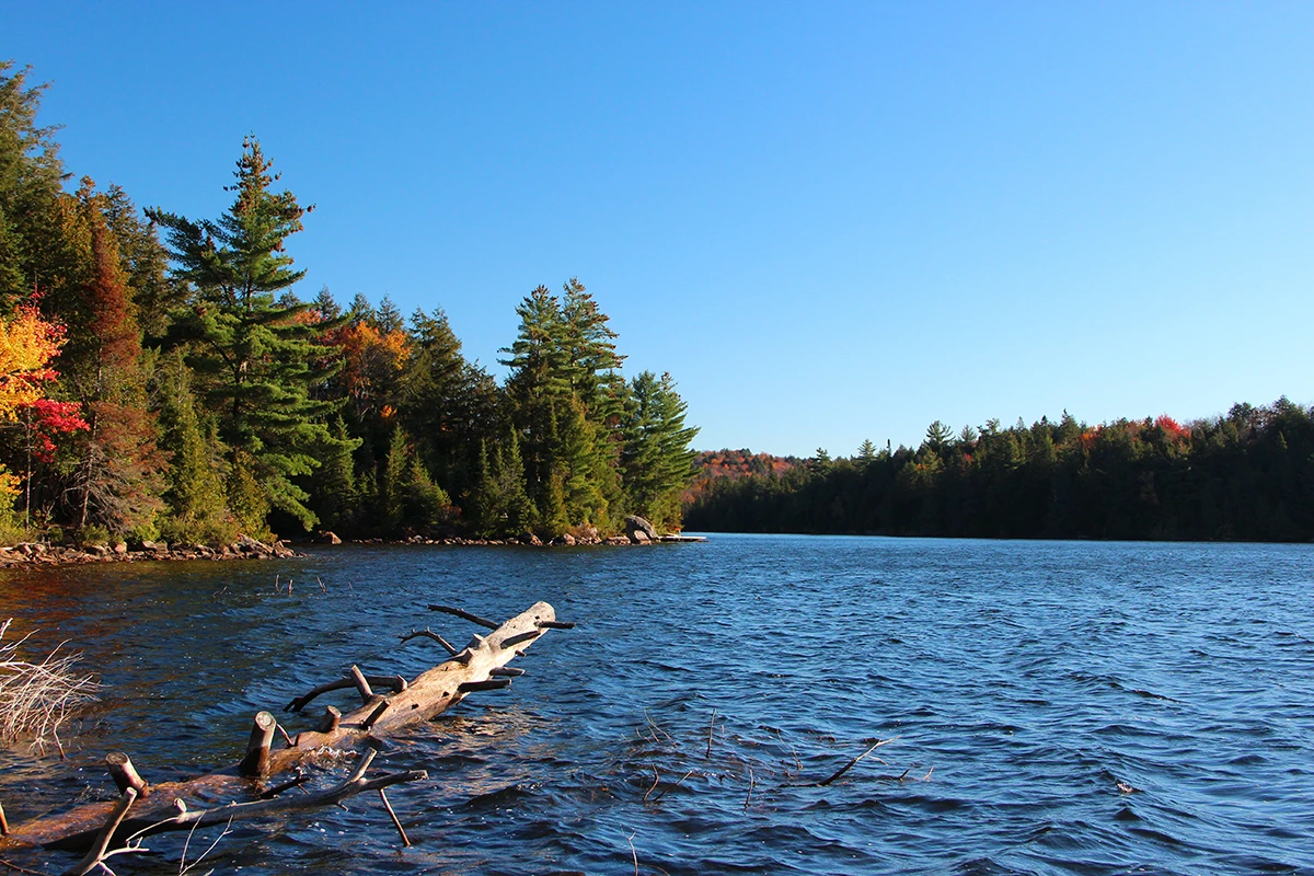 Canada Algonquin Park